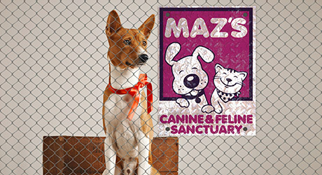 Maz's Canine & Feline Sanctuary